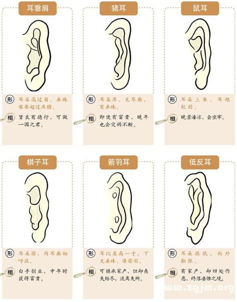 方形耳面相|面相耳朵案例详解：九种不同的耳朵，九种不同的出生